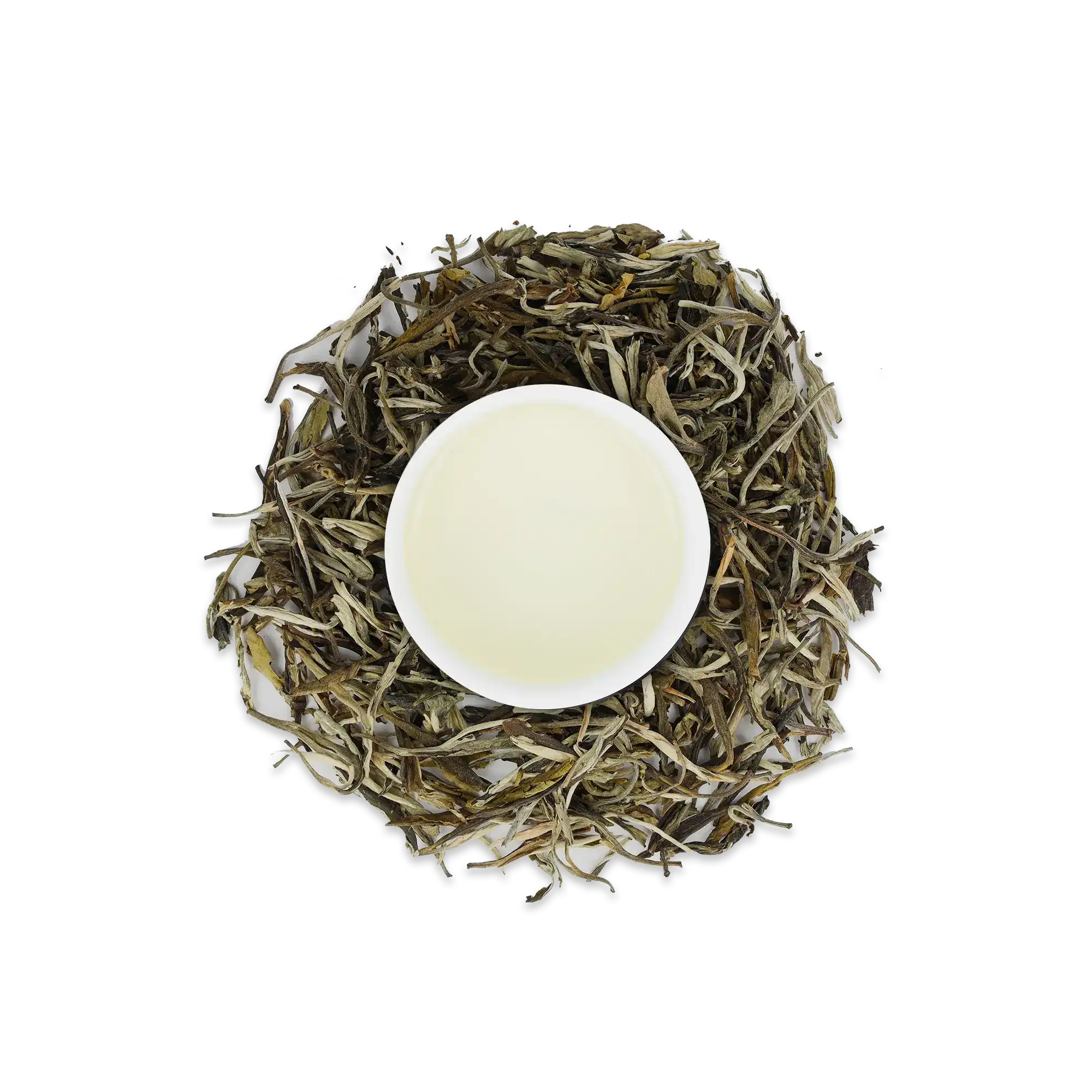 Weiße Tasse mit hellem Grüntee, umgeben von kreisförmig angeordneten getrockneten Teeblättern auf weißem Hintergrund.