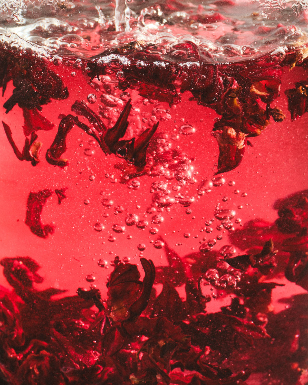 Nahaufnahme von tiefrotem Hibiskus-Tee mit schwebenden Blütenblättern und sprudelnden Bläschen.