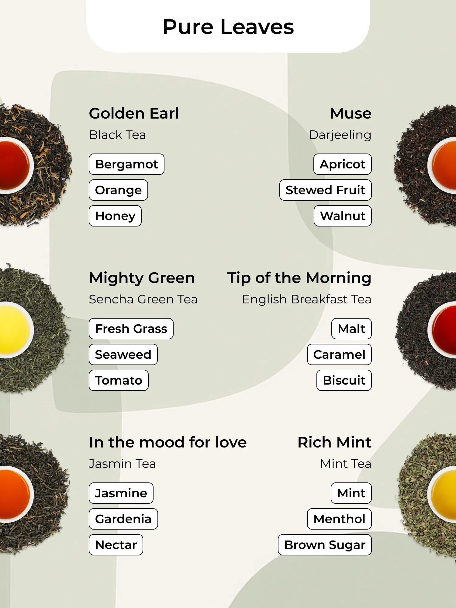 Infografik von Pure Leaves über Teeblätter und Tassen, mit Aroma-Noten wie Bergamotte, Aprikose, Minze.