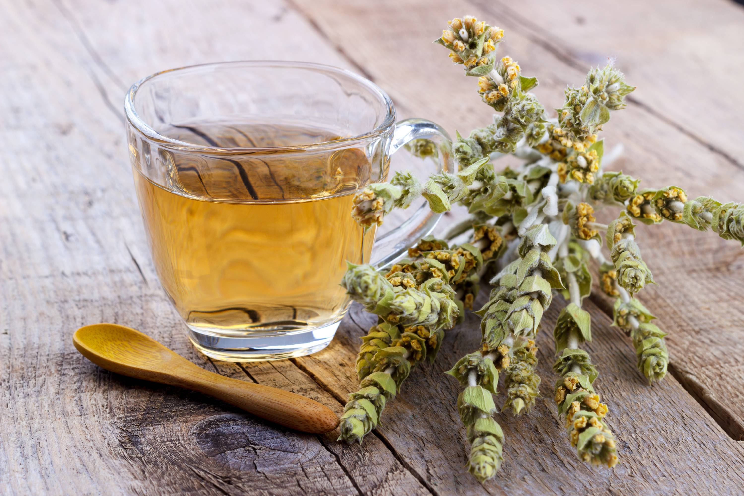 Glas mit Kräutertee auf Holztisch neben gelben Blüten