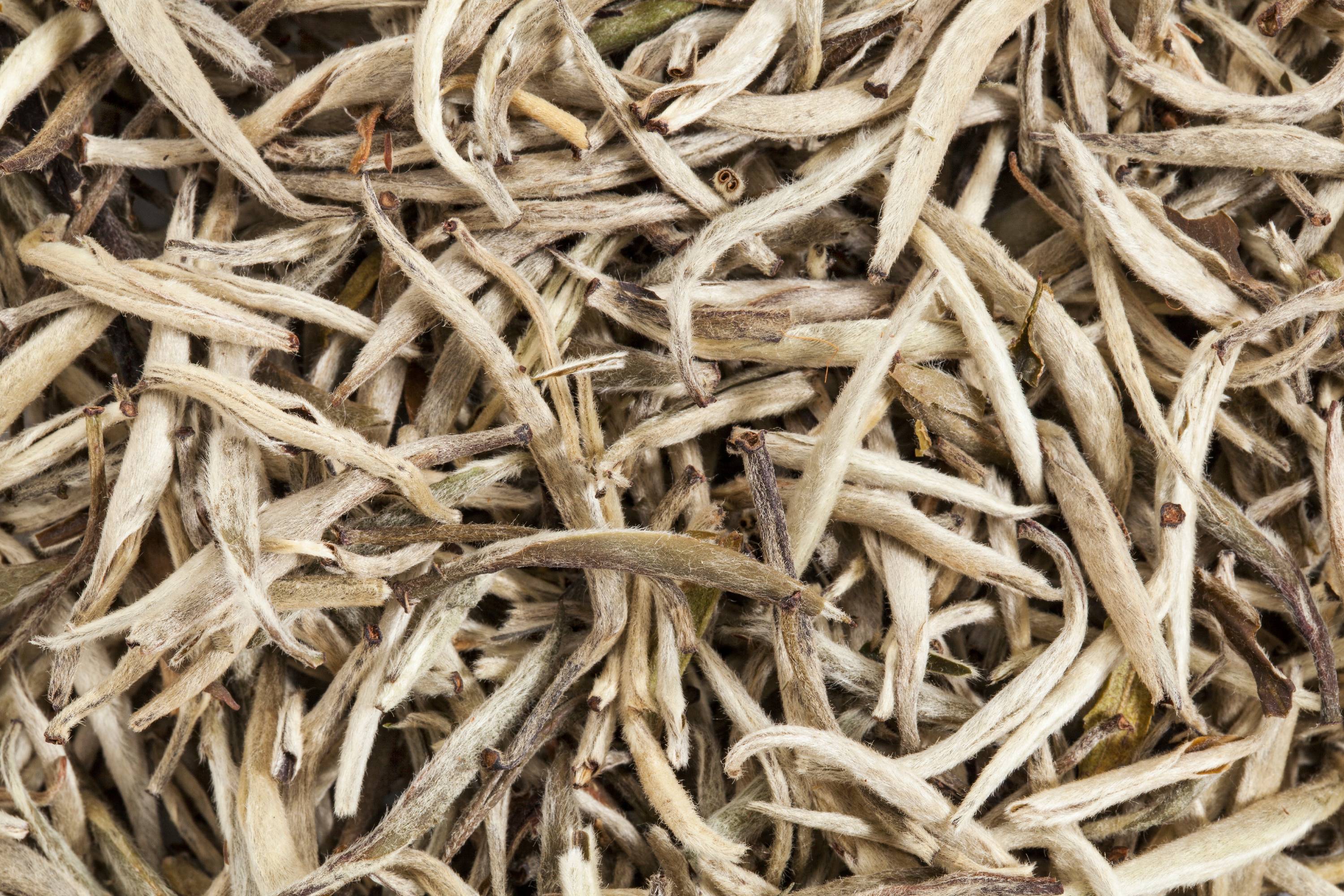 Nahaufnahme getrockneter wolliger Teeknospen in beige und hellbraun