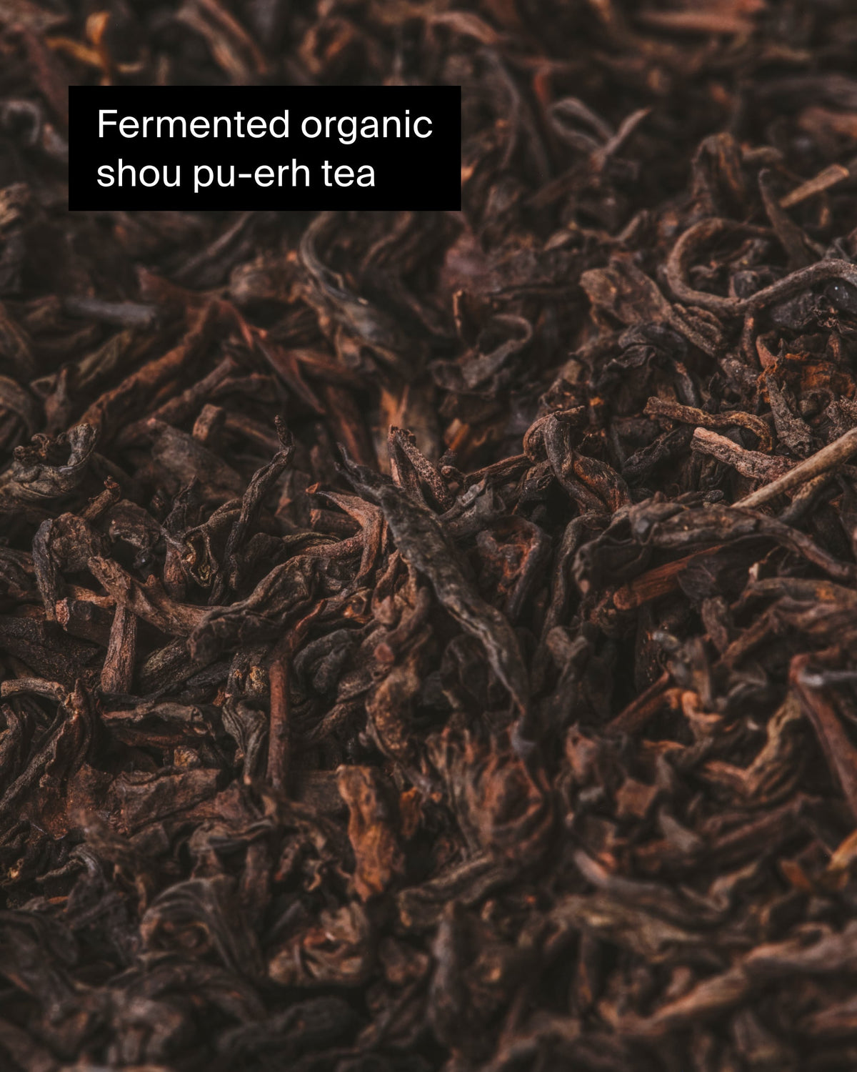 Nahaufnahme von dunkel gedrehten Bio-Shou Pu-erh-Teeblättern mit fermentierter Textur